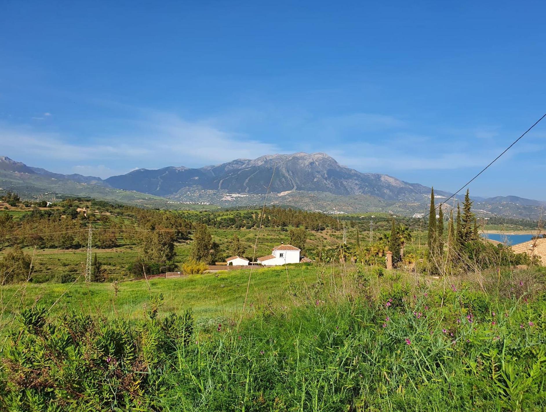 La Rustica En Vinuela, Piscina Privada别墅 外观 照片
